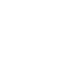 Logo Wordpress